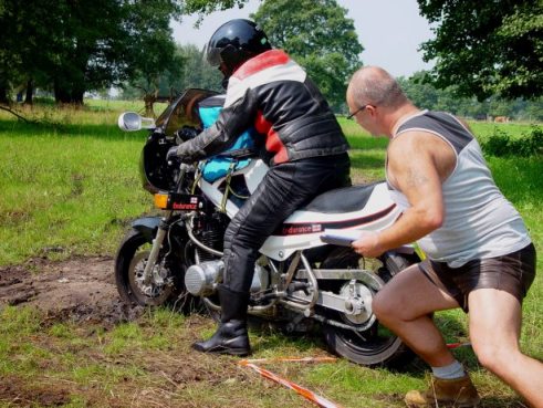 Plants: image 1 0f 4 thumb