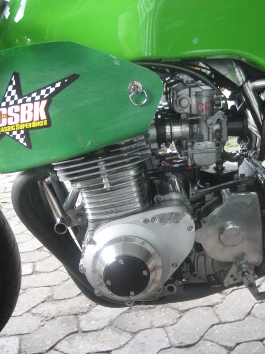 Plants: image 1 0f 4 thumb